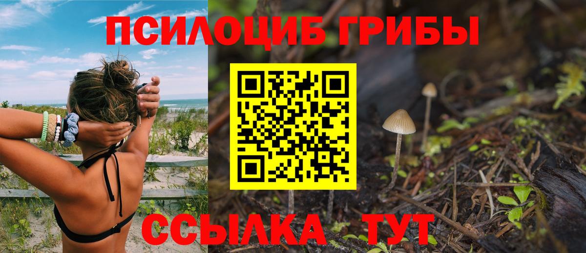 Псилоцибиновые грибы Magic Shrooms Усолье-Сибирское