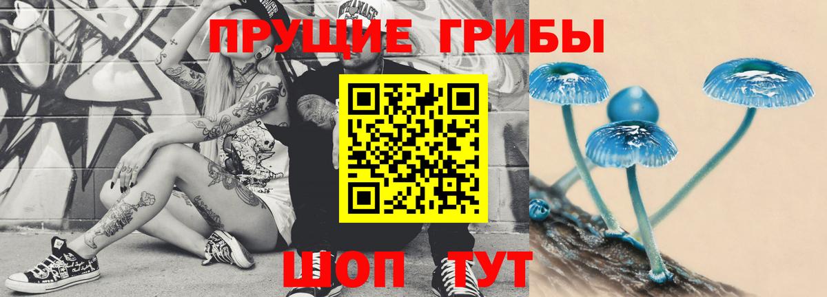 Галлюциногенные грибы прущие грибы  Вход с VPN  Усолье-Сибирское 